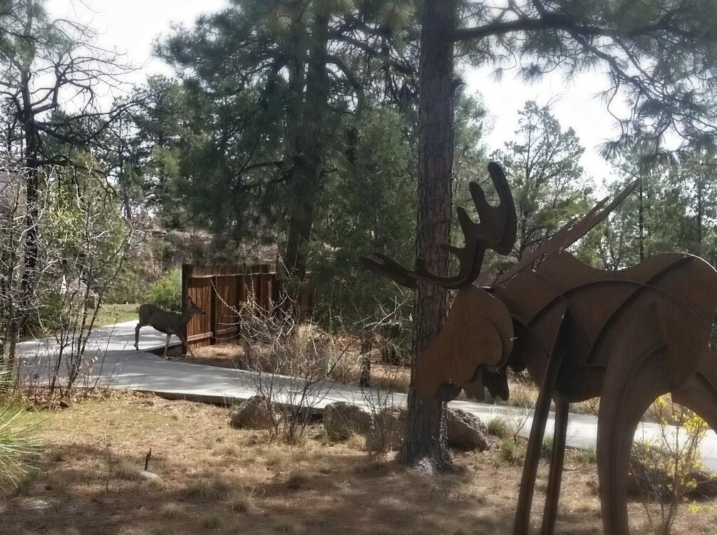 Pueblo Canyon Inn Los Álamos Exterior foto